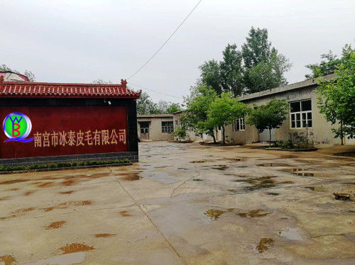 Nangong Bingtai Fur Co., Ltd.