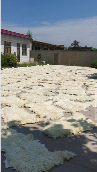 Nangong Bingtai Fur Co., Ltd.